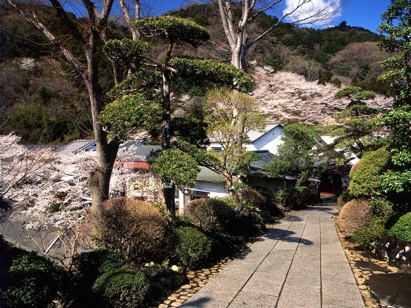 Motoyu Ryokan Acugi Exteriér fotografie