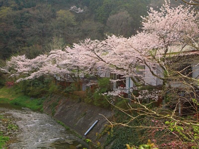 Motoyu Ryokan Acugi Exteriér fotografie