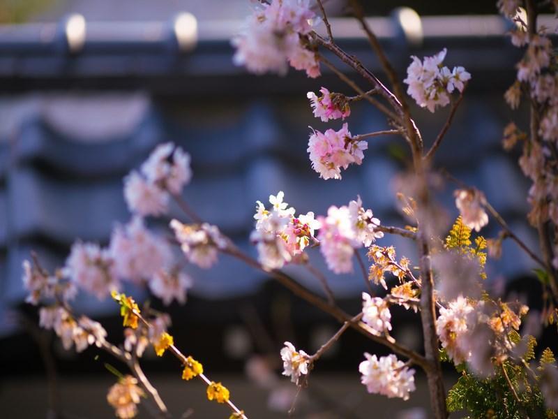Motoyu Ryokan Acugi Exteriér fotografie