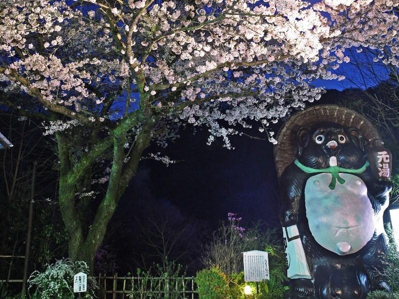 Motoyu Ryokan Acugi Exteriér fotografie