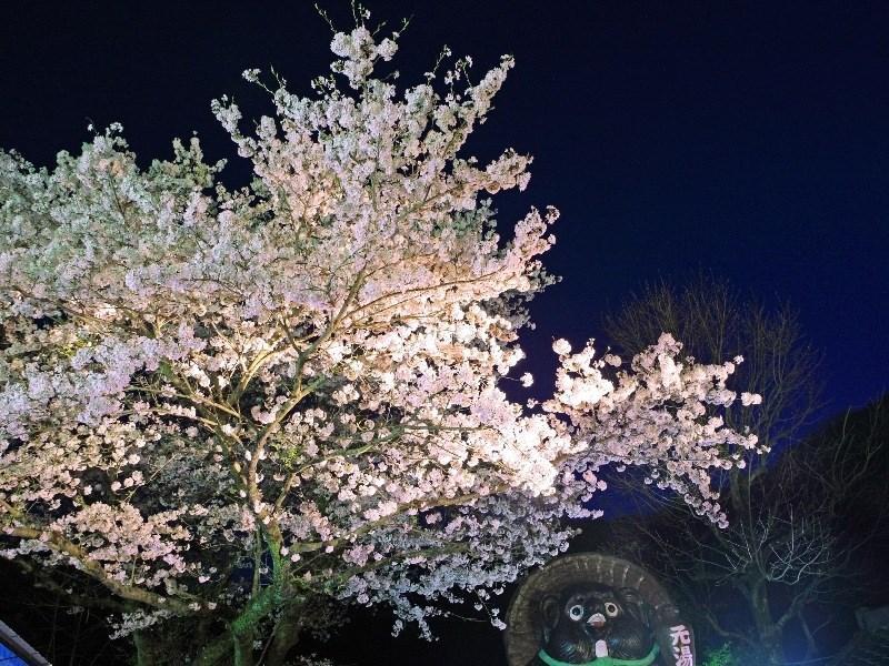 Motoyu Ryokan Acugi Exteriér fotografie